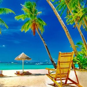 Meet your Posher, Dave